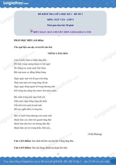 Đề thi giữa kì 2 Văn 9 - Đề số 3